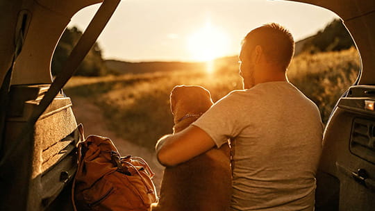 Man and dog at sunrise