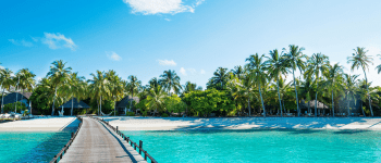White sandy beach, palm trees and turquoise sea