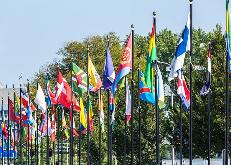 A line of flags of different countries at the Hague
